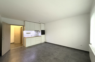 Kiadó kislakás a Minerván